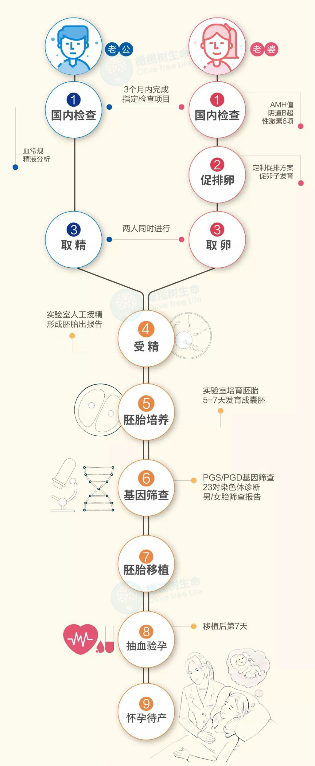 三代试管婴儿流程图看完这张图秒懂！